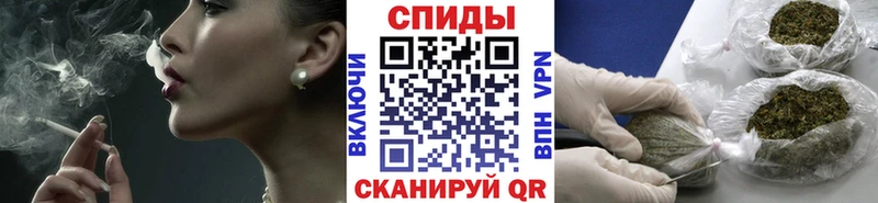 Купить  Судак  БУТИРАТ оксана 